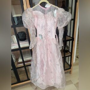 Glinda costume wicked glitter good witch The Wizard of Oz butterfly stars dress